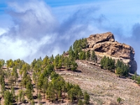 Mirador Roque Nublo
